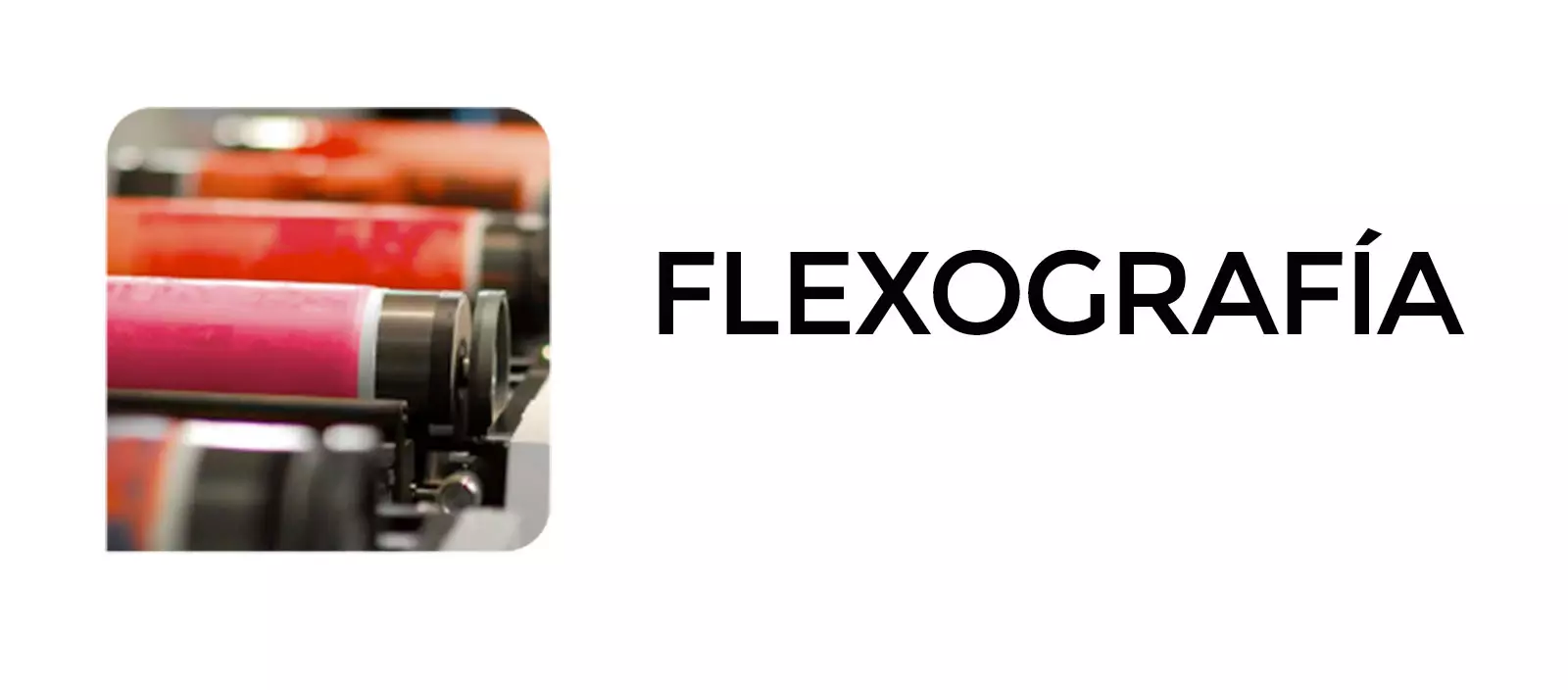 FLEXO_01
