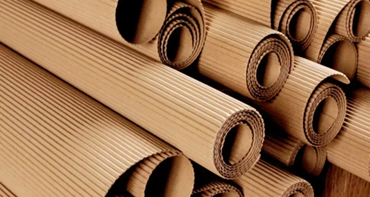 rollo-1 https://impressacorporation.com/wp-content/uploads/2022/01/rollo-1-1204x640.webp