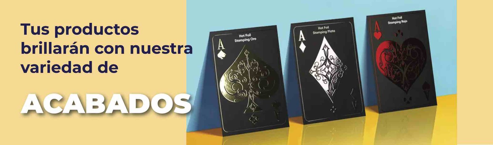 Encabezado 993x292 imagen 3